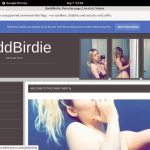 BaddBirdie Get Account