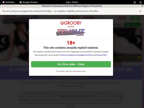 Buy Femout.xxx Account Buy Femout.xxx Account