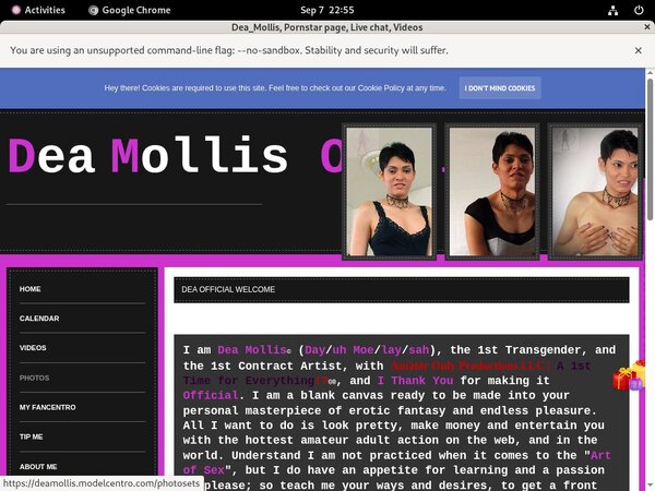 Deamollis.modelcentro.com Account Premium Free