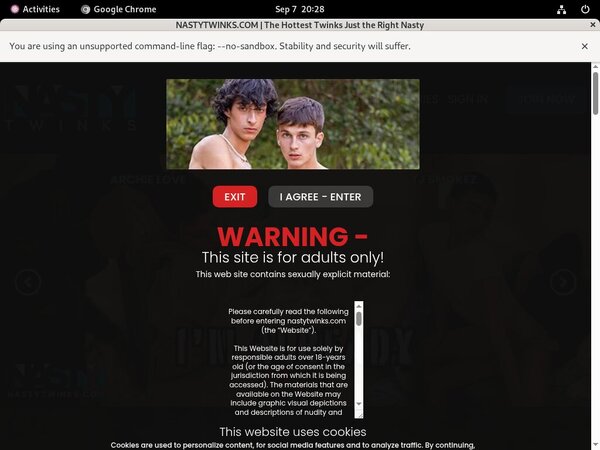 Free Nasty Twinks Movies