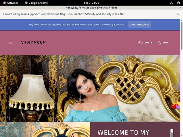Get NancySky Free Logins