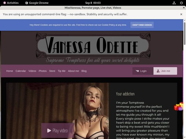 How To Get Into MissVanessa Free