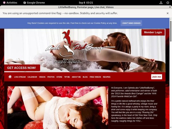 LittleRedBunny Porn Reviews