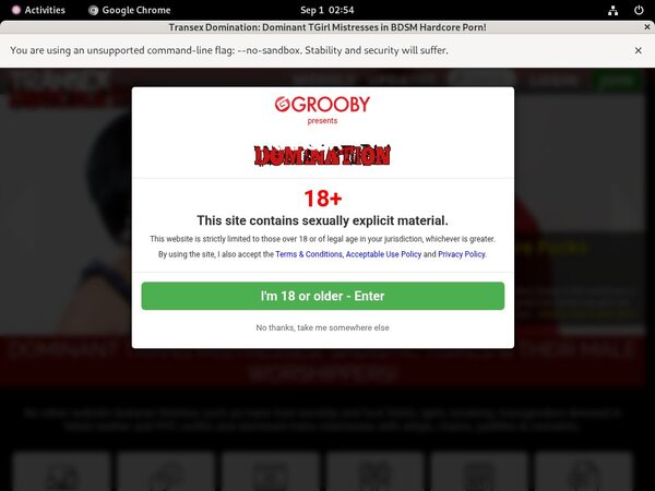 Transexdomination Porn Sex