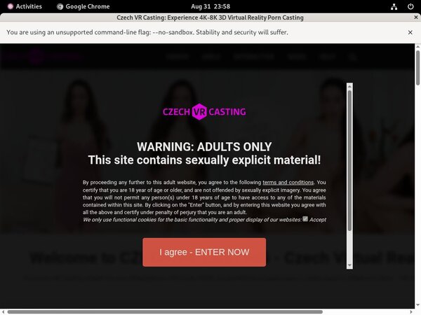 Czechvrcasting.com Account Discount