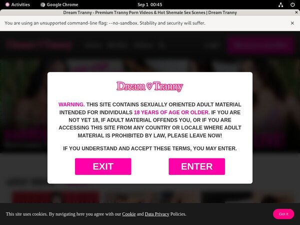 Dreamtranny.com Members Discount