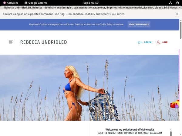 Free Working Rebeccaunbridled.com Accounts