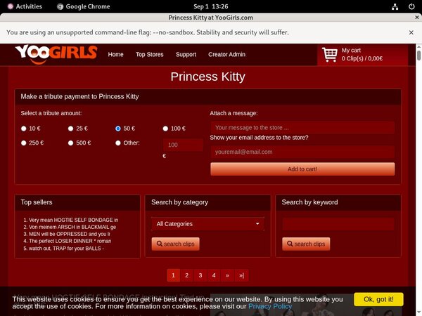 Login To Princess Kitty Free