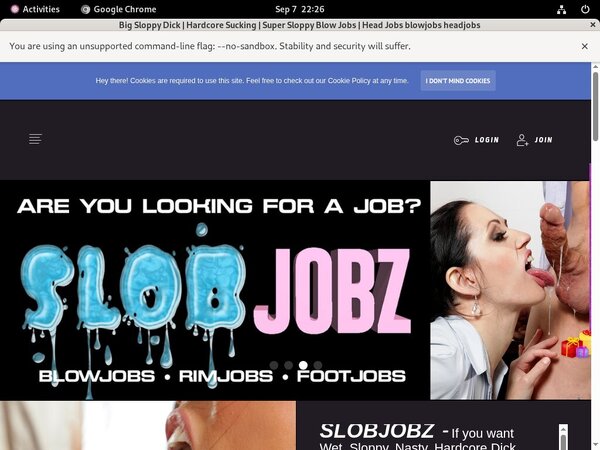 Slobjobz Review Site