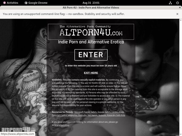 Altporn4u Hack Login