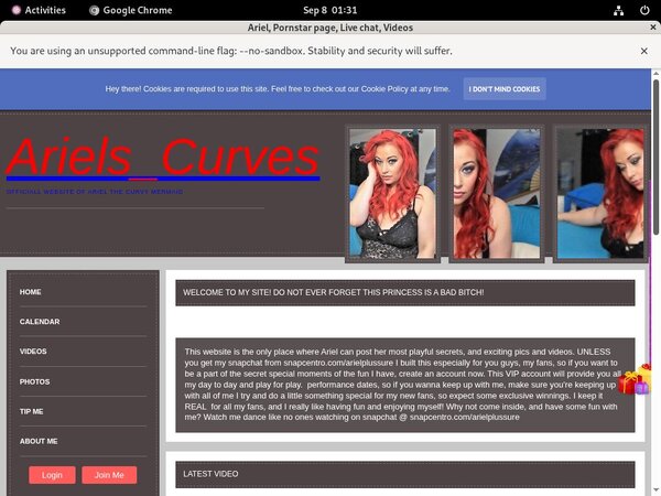 Ariel Membership Plan