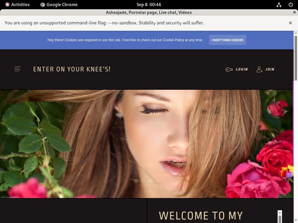 Asheajade Website Accounts