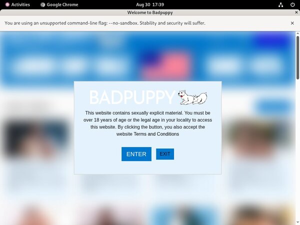 Bad Puppy Free Premium Passwords