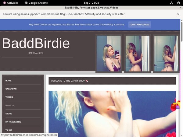 Baddbirdie.modelcentro.com Premium Passwords