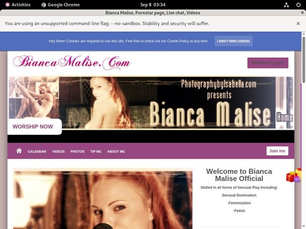 Biancamalise.modelcentro.com Website Accounts