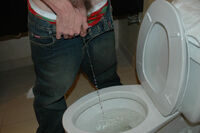Boys Pissing Join By Phone s2