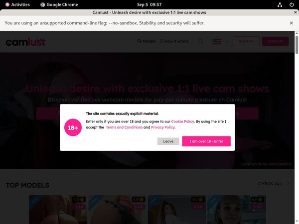 Cam Lust Porn Discounts