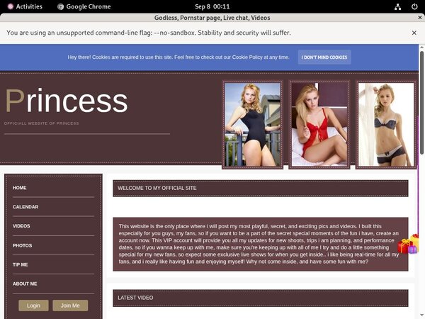 Cardboard.modelcentro.com Limited Time Discount
