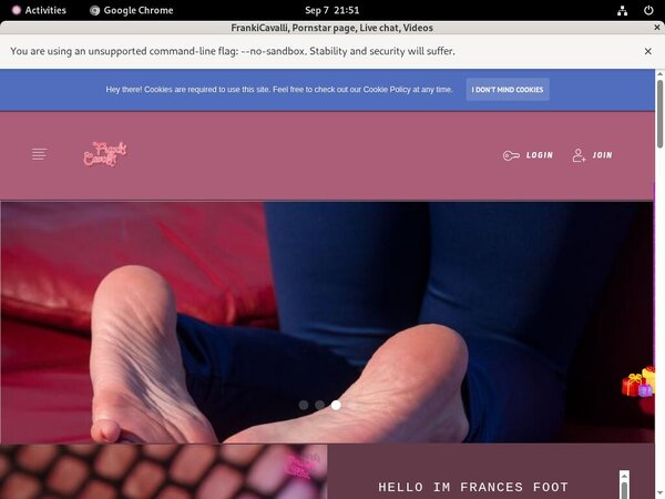 Frances.modelcentro.com Account Trial