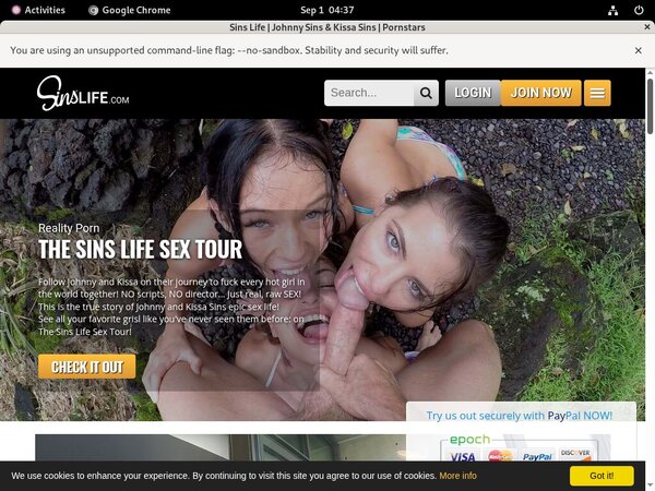 Free Sins Life Hacked Passwords