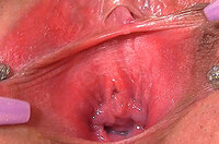 Gapemypussy Free Account Password s0 Gapemypussy Free Account Password s0
