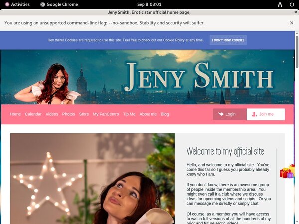 Jenysmith.net With Visa