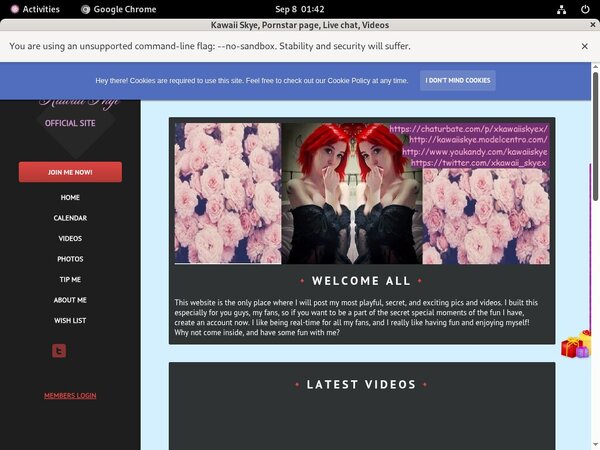 Kawaii Skye Password Site