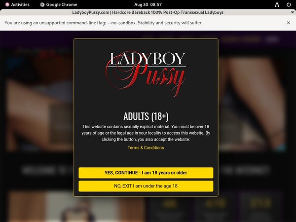 Ladyboy Pussy Image Post