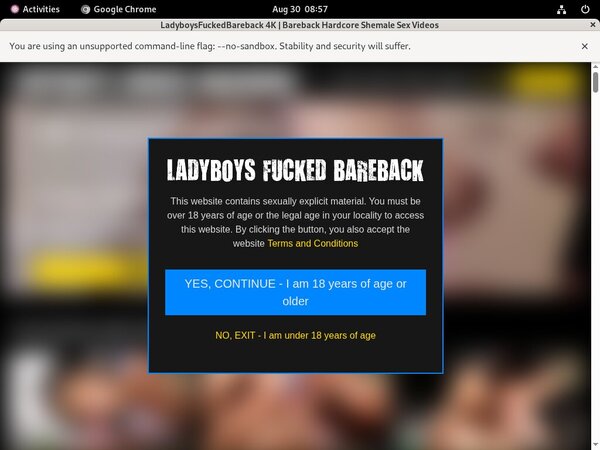 Ladyboysfuckedbareback Password List