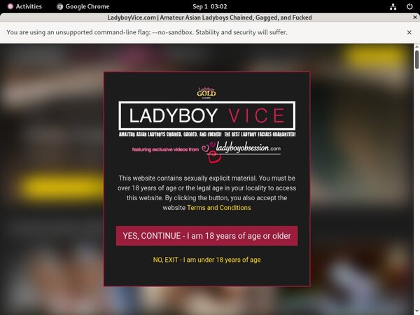 Ladyboyvice Paypal Options