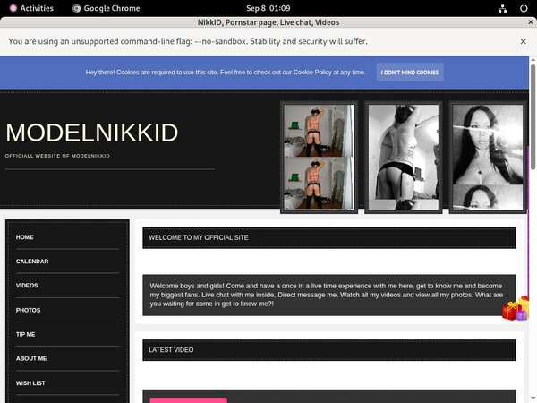 Modelnikki.modelcentro.com Order