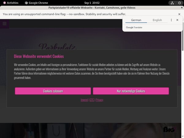 Parkplatzluder19.com Free Scene