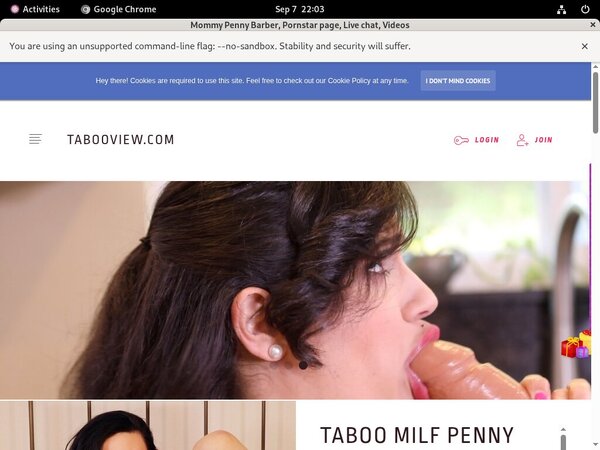 Password MommyPennyBarber Free