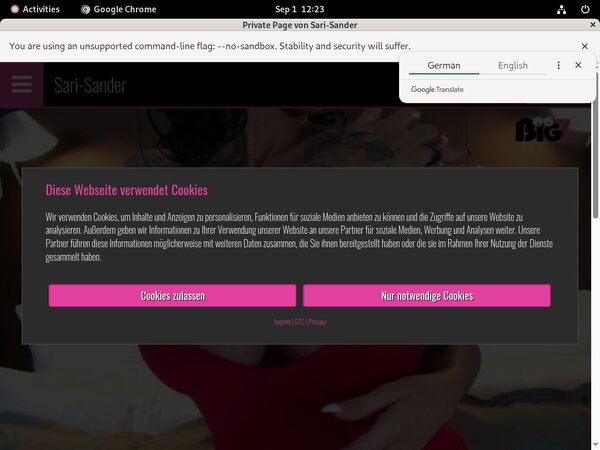 Sari-sander.com New Account
