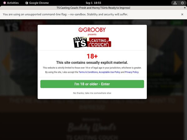 Tscastingcouch Discount Offers