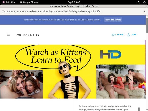 Beeg Americankittens