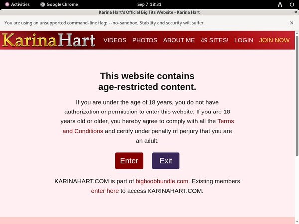 Karinahart.com 
