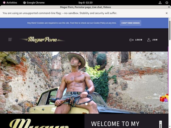 Password For Mugur Porn
