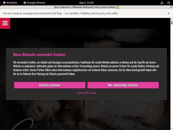 Sina Valentini Discount Page