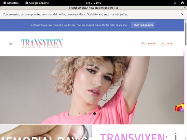 Watch TransVixen