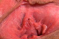 Gape My Pussy Girl s2